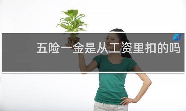 五险一金是从工资里扣的吗