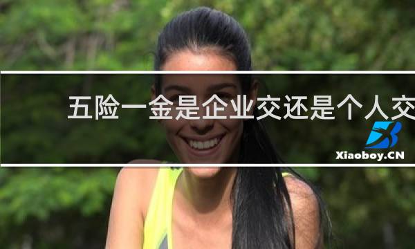 五险一金是企业交还是个人交