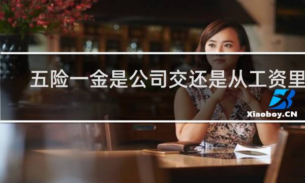 五险一金是公司交还是从工资里扣