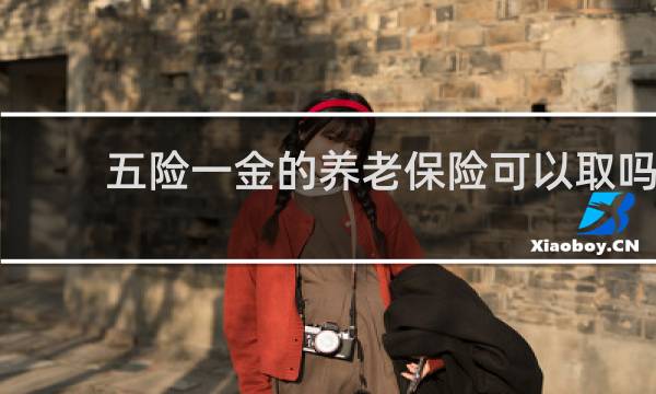 五险一金的养老保险可以取吗图片