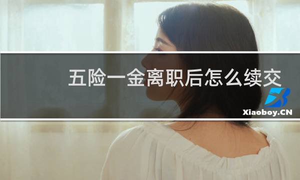 五险一金离职后怎么续交图片