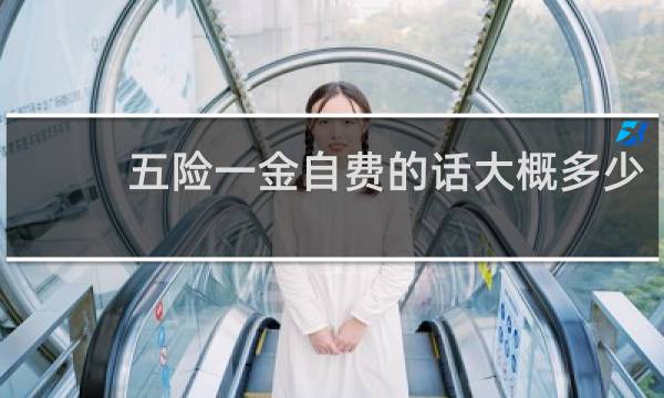 五险一金自费的话大概多少