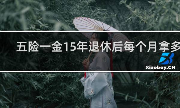 五险一金15年退休后每个月拿多少