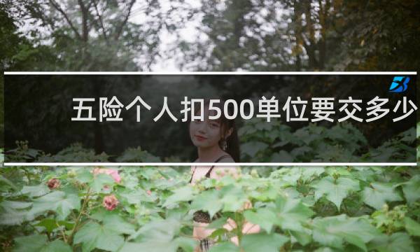 五险个人扣500单位要交多少图片