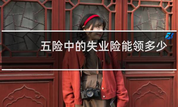 五险中的失业险能领多少