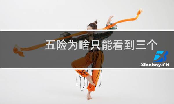 五险为啥只能看到三个图片