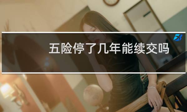 五险停了几年能续交吗