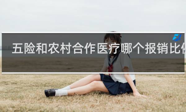 五险和农村合作医疗哪个报销比例高