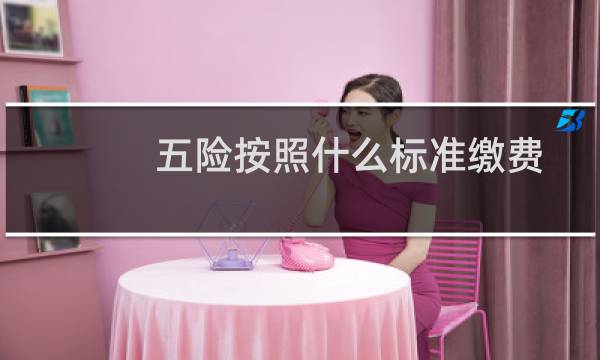 五险按照什么标准缴费图片