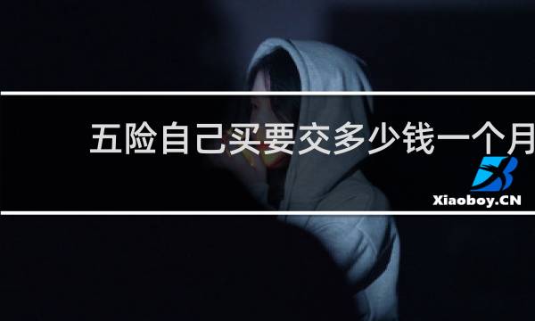 五险自己买要交多少钱一个月