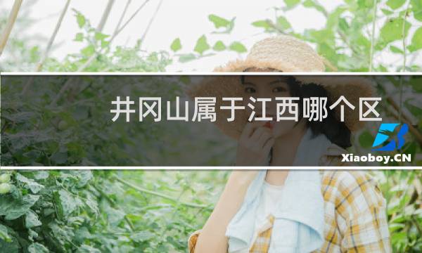 井冈山属于江西哪个区