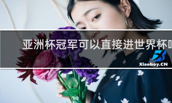 亚洲杯冠军可以直接进世界杯吗