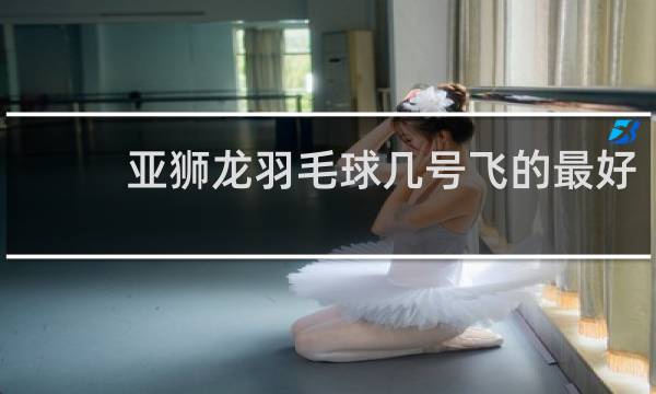 亚狮龙羽毛球几号飞的最好
