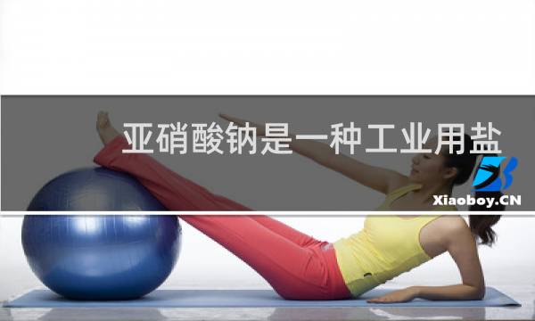亚硝酸钠是一种工业用盐,它有毒图片