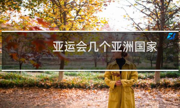 亚运会几个亚洲国家