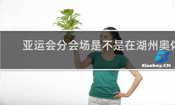 亚运会分会场是不是在湖州奥体中心