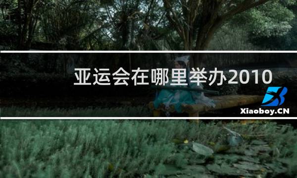 亚运会在哪里举办2010