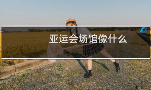 亚运会场馆像什么