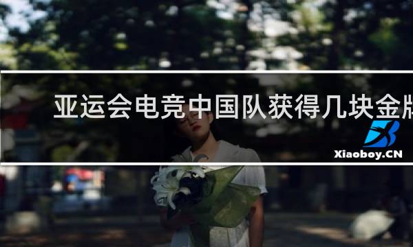 亚运会电竞中国队获得几块金牌