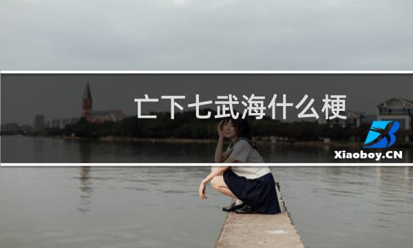 亡下七武海什么梗