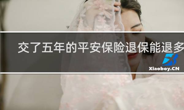 交了五年的平安保险退保能退多少