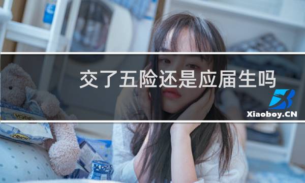 交了五险还是应届生吗