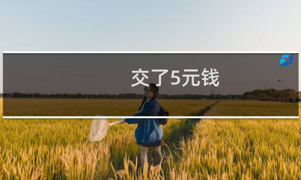 交了5元钱,说可以试用一下,下一步我不知该怎么,导航不懂