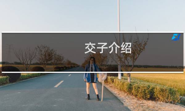 交子介绍