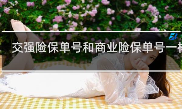 交强险保单号和商业险保单号一样吗图片