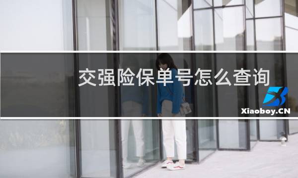 交强险保单号怎么查询