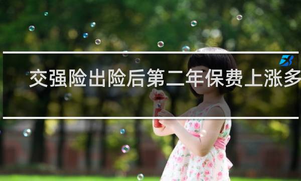 交强险出险后第二年保费上涨多少图片