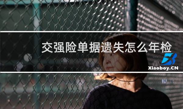 交强险单据遗失怎么年检图片