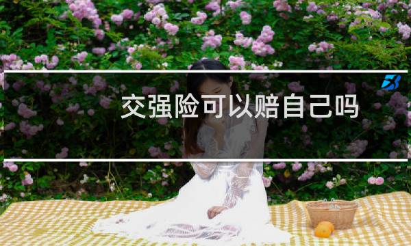 交强险可以赔自己吗