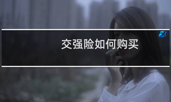 交强险如何购买