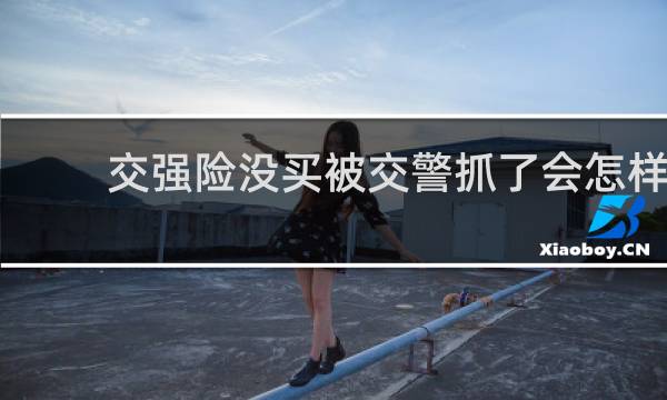 交强险没买被交警抓了会怎样