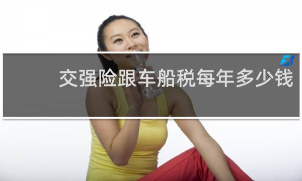 交强险跟车船税每年多少钱