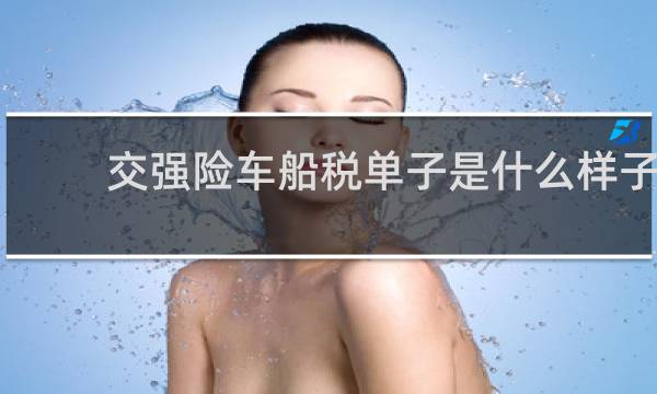 交强险车船税单子是什么样子