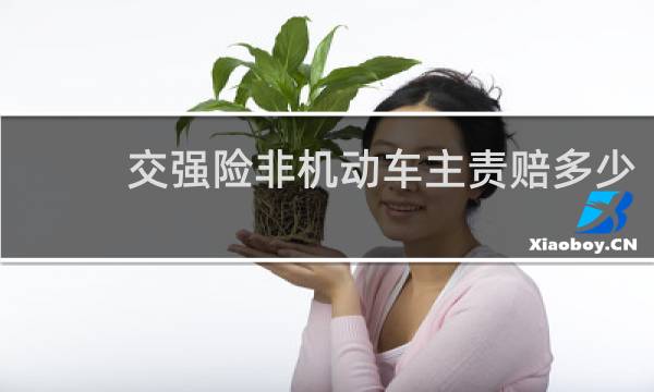 交强险非机动车主责赔多少图片