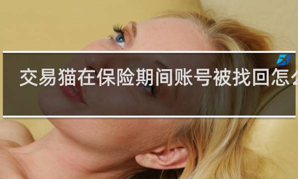 交易猫在保险期间账号被找回怎么办