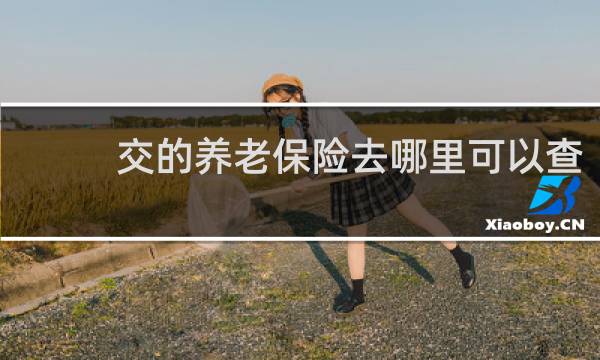 交的养老保险去哪里可以查