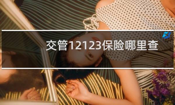 交管12123保险哪里查