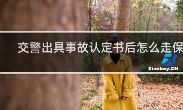 交警出具事故认定书后怎么走保险