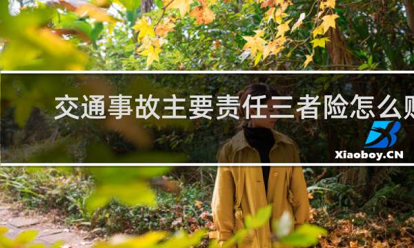 交通事故主要责任三者险怎么赔