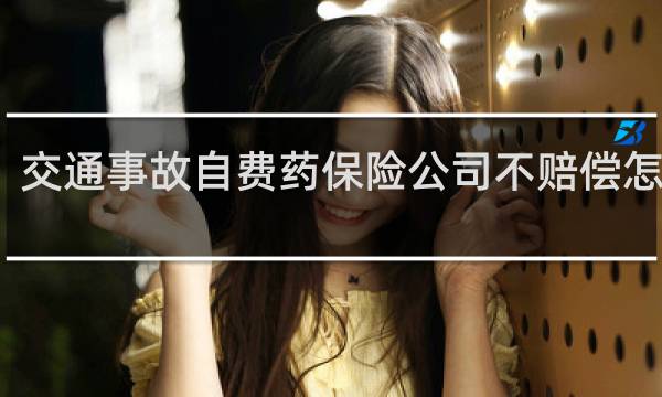 交通事故自费药保险公司不赔偿怎么办