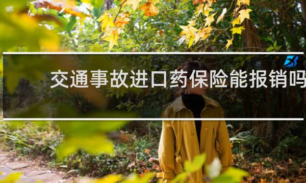 交通事故进口药保险能报销吗