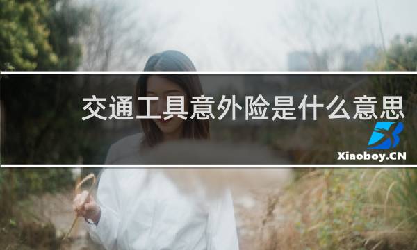 交通工具意外险是什么意思