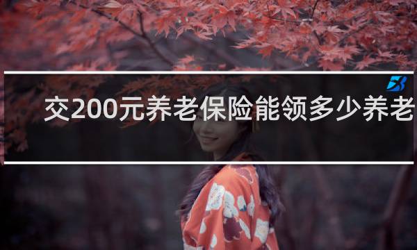 交200元养老保险能领多少养老金图片