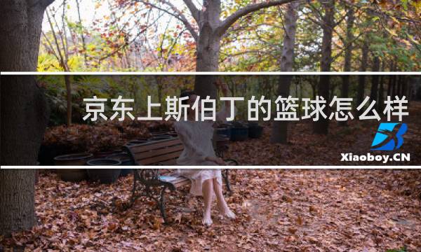 京东上斯伯丁的篮球怎么样