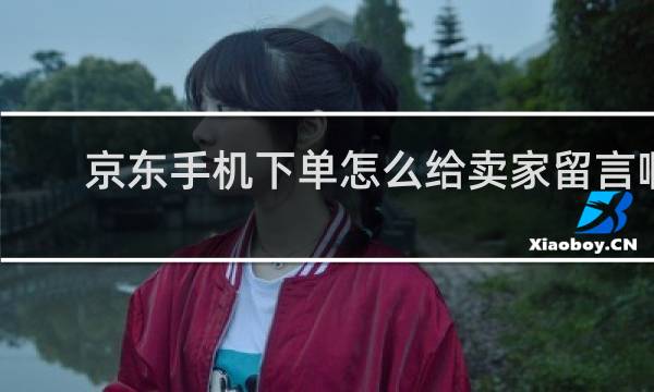 京东手机下单怎么给卖家留言啊