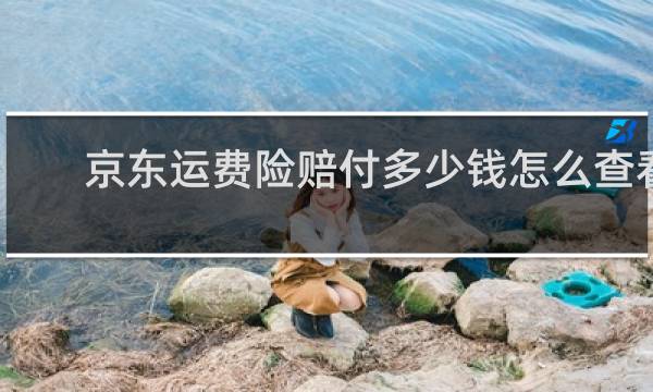 京东运费险赔付多少钱怎么查看